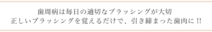 歯周病は毎日の適切なブラッシングが大切 正しいブラッシングを覚えるだけで、引き締まった歯肉に!!